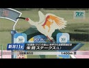 【競馬】2024年 朱鷺ステークス(L)【バルサムノート / 松岡正海】