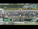【競馬】2024年 瀬戸ステークス(3歳以上3勝クラス)【サンマルパトロール / 菱田裕二】