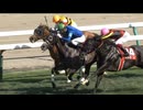 【競馬】2024ワールドオールスタージョッキーズ第1戦【クファシル / K.ティータン】