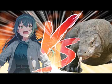 手毬VSコモドドラゴン