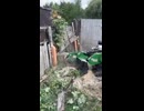 Chigwell Tree Services
