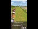 ウマ娘_京都3000m芝_ウマ娘視点