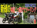 【ななまる日記】セロー225　新緑の林道ツーリング　万沢林道編1