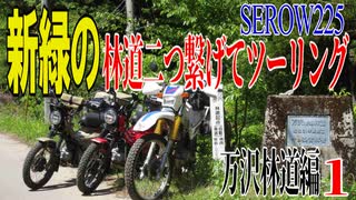【ななまる日記】セロー225　新緑の林道ツーリング　万沢林道編1