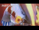【実況】新米、モンスターを育てる。 part10[MONSTERHUNTER STORIES］