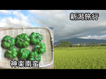 神楽南蛮+新潟旅行【長火鉢とおっさん363】VOICEROID付