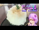 【結月ゆかり車載】結月二人　ツーリング記録V#5 ミヤグチ氷店