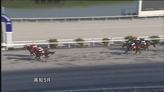 2024年7月6日高知競馬5R 株式会社グランディール協賛グランディールレディスシリーズ ヴェガ特別(準重賞・3歳以上牝馬) グレートヒエン
