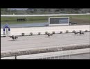 2024年7月7日高知競馬1R ２歳新馬 弐 ラグーン