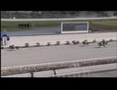 2024年7月7日高知競馬2R ２歳新馬 壱 リケアカプチーノ