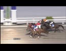 2024年7月7日高知競馬9R 高知は７９回目の協賛 木下智史七夕の宵特別(A・B混合) グリーリー