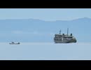 ある日の桜島（その３９７）＜汽笛（警告信号？）を鳴らす垂水フェリーと桜島＞
