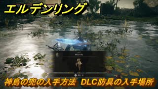 エルデンリングDLC　神鳥の兜の入手方法　DLC防具の入手場所　＃３１６　【ELDEN RING】