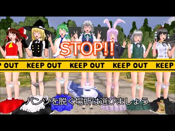 東方MMDで学ぶ常識