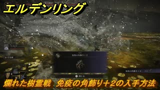 エルデンリングDLC　爛れた樹霊戦　免疫の角飾り＋２の入手方法　DLCタリスマンの入手場所　＃３２９　【ELDEN RING】