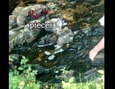 pieces 80秒歌ってみた