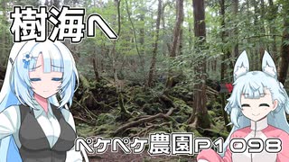 2024年8月25日　農作業日誌P1098　なんでかな？氷穴と風穴に行ってきました