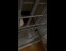 おやすみ　ゆず