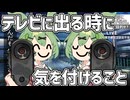 テレビに出る時に大体気を付けること＆ずんだもんに少し愛を叫ぶ！［ずんパラ投稿祭Z］