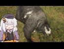 広大な大自然で狩りをするあかりちゃんのtheHunter: CotW#69
