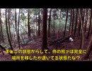 (台風の前の静けさ？回）変態忍者の、有害鳥獣駆除従事活動記・その３００