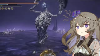 【エルデンリングDLC】ミケサークラッシュ事変 #23