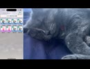 【モンハンnow】おかえりクシャルダオラ！破壊王5で挑みます