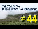 #44 エルデンリングを 初見で【協力プレイ】するのです