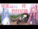 琴葉姉妹と行く釣行記録（車載編part32 1/8）