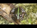 久し振りのいつもの奴ら垂れ流し　9