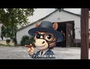 札幌２歳ステークスの傾向と分析結果　/　【軸馬が走る】