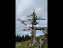dead tree 90秒歌ってみた