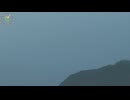 2024.08.27 (48倍速) TSDL