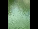 74642032906__9E93E158-7679-4F24-898B-697FD3FA6483