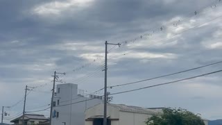 2024/08/27 八尾南　イマソラ