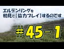 #45-1 エルデンリングを 初見で【協力プレイ】するのです