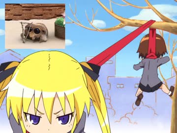 フロファン