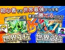 【ポケモンカード対戦】検証！ポケカ始めたての初心者が、世界大会優勝のデッキを使ったら、準優勝のガチデッキにも勝てるのか？！【WCS2024】【テツノイバラex・トドロクツキex】〈疾風勁草な俺たち〉