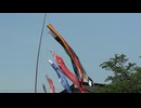 Carp streamer higher than the roof. リーウェイジャパン株式会社
