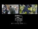 【第273回】賑やかな食卓③と襲撃とカニ