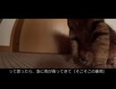 【第276回】賑やかな食卓⑥とカミナリ？とそらまめ