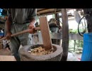【第279回】ゆり根をつくよ③と涼しい？とパイナポー