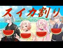 【ARIA家の日常】スイカ割り