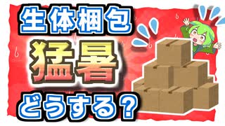 【クワガタ飼育】真夏の生体発送について