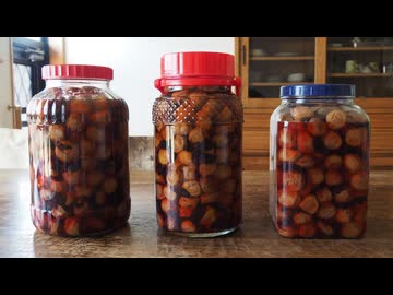 梅仕事2024 | JPP2024 |