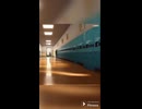 Moozoo猫の面白いビデオ