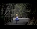 誰もいない森