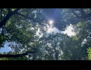 微睡む夏 feat.裏命&可不