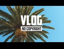MBB - Palm Trees