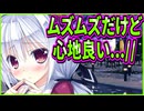 【エロゲ実況】457　ロリと夜道歩くの気持ち良すぎだろ！【プライマルハーツ】